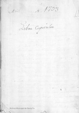 Libro capitular
